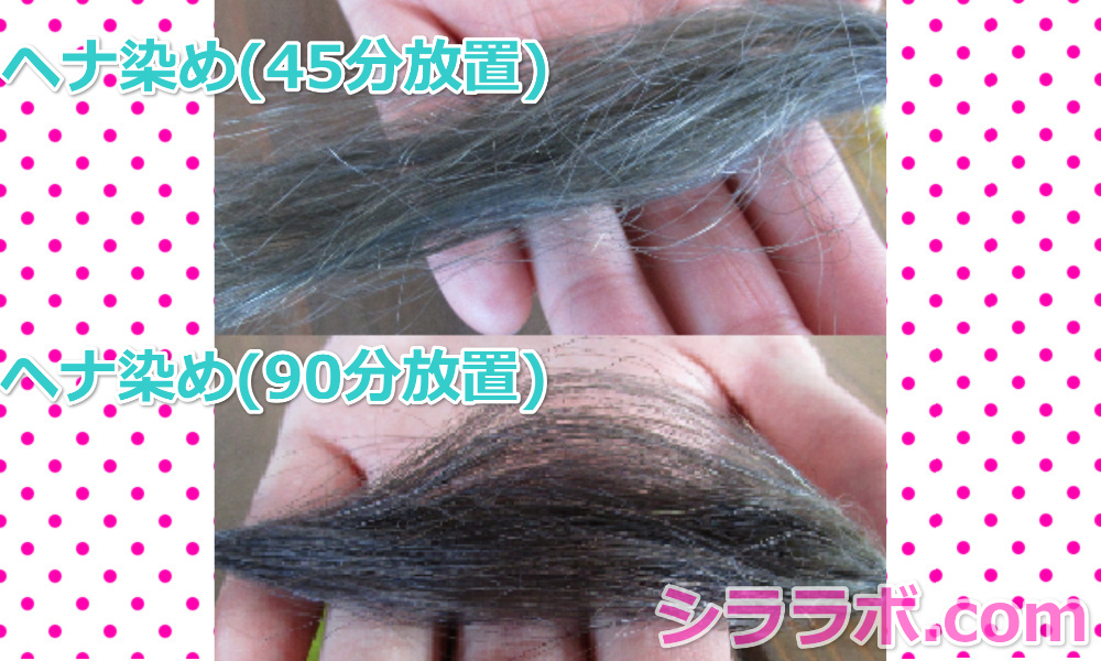ヘナを45分置いた毛束と90分置いた毛束の比較