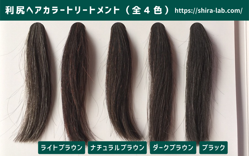 利尻ヘアカラートリートメント 黒髪に対する4色の染まり方