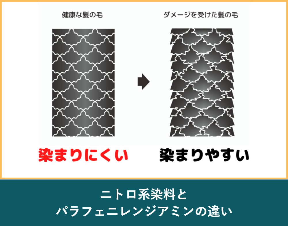ニトロ系染料とパラフェニレンジアミンの違い