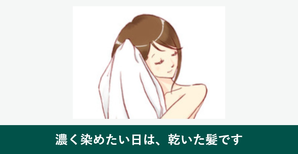 利尻カラートリートメントは乾いた髪と濡れた髪のどちらで使うか