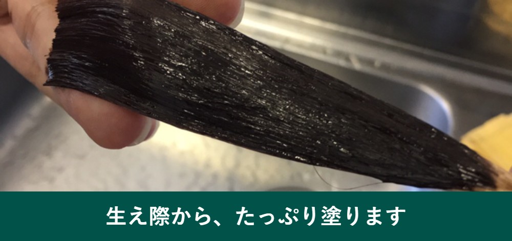 利尻カラートリートメントの塗り方