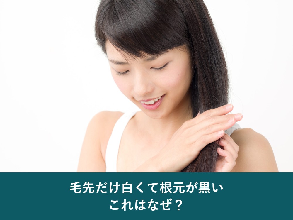 毛先だけ白くて根元が黒いのはなぜか