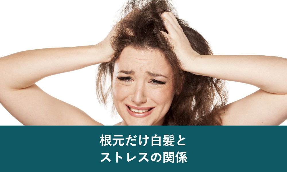 根元だけ白髪とストレスの関係