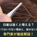 白髪は抜くと増える?抜いてはいけない理由