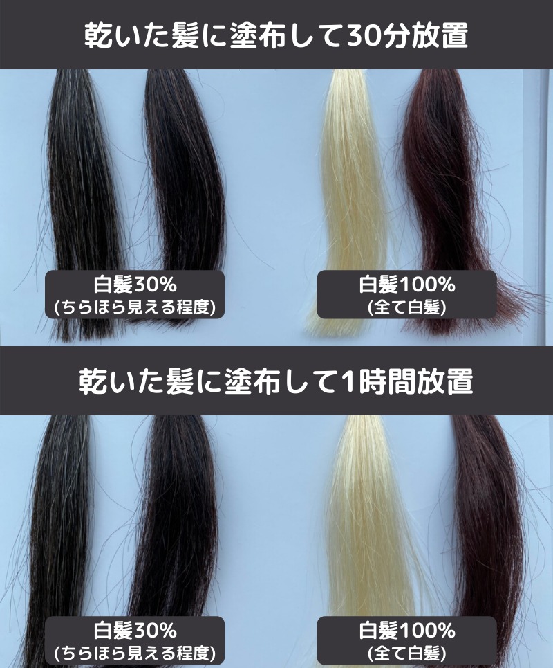 ルプルプを乾いた髪に30分と1時間置いた毛束
