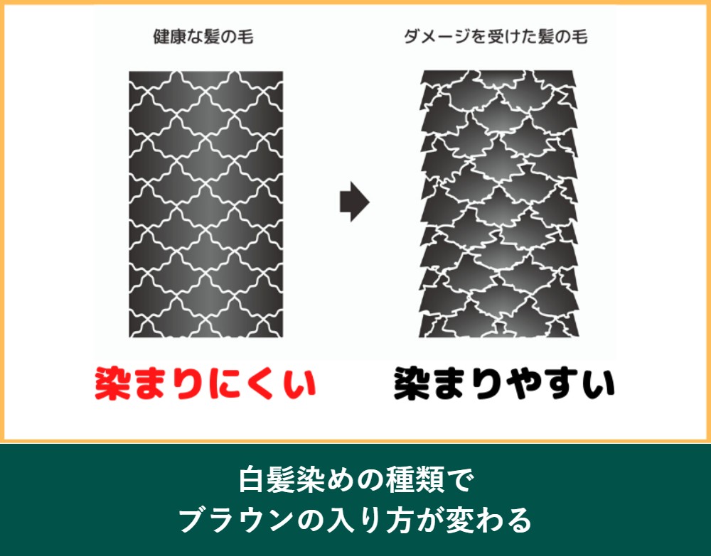 白髪染めの種類でブラウンの入り方が変わる