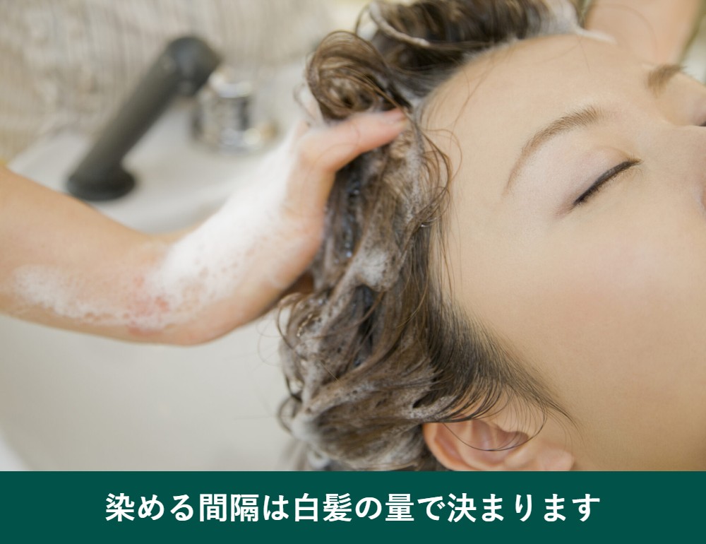 50代の白髪染めの頻度は白髪の量で決まる