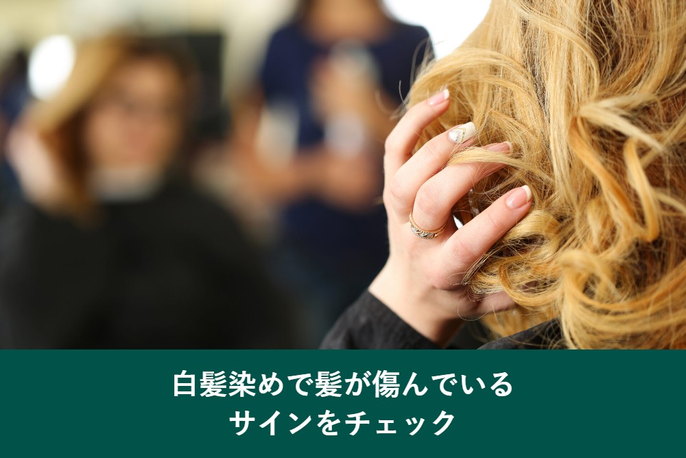 白髪染めで髪が傷んでいるサイン