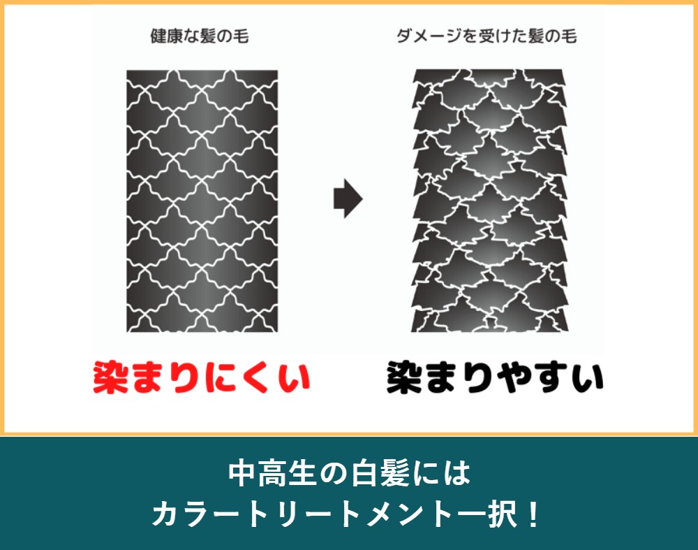 中高生の白髪にはカラートリートメントが最適な理由
