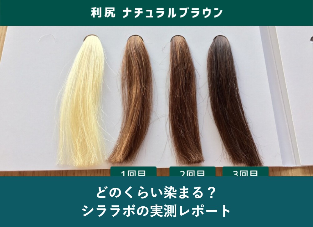 利尻ヘアカラートリートメントの染まり具合を実測した検証毛束