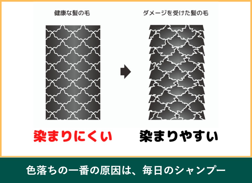 白髪染めが色落ちする原因