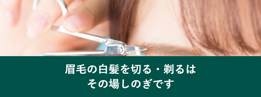 眉毛の白髪を切る剃るはその場しのぎ