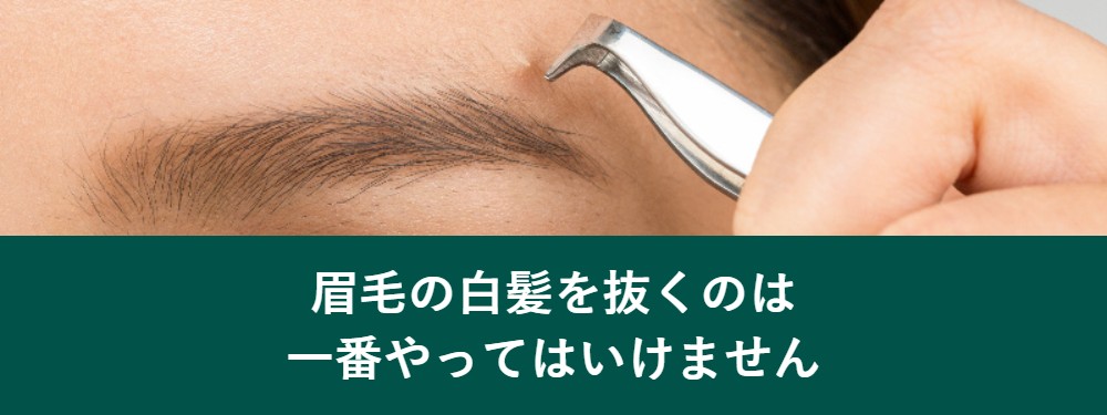 眉毛の白髪を抜くのは一番やってはいけない