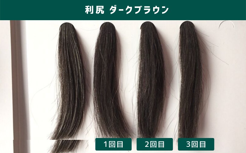 利尻ヘアカラートリートメント ダークブラウンを毛束に1〜3回使った結果