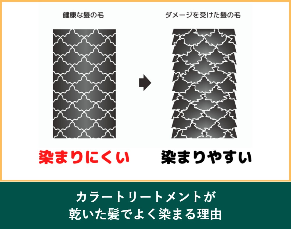 カラートリートメントが乾いた髪でよく染まる理由