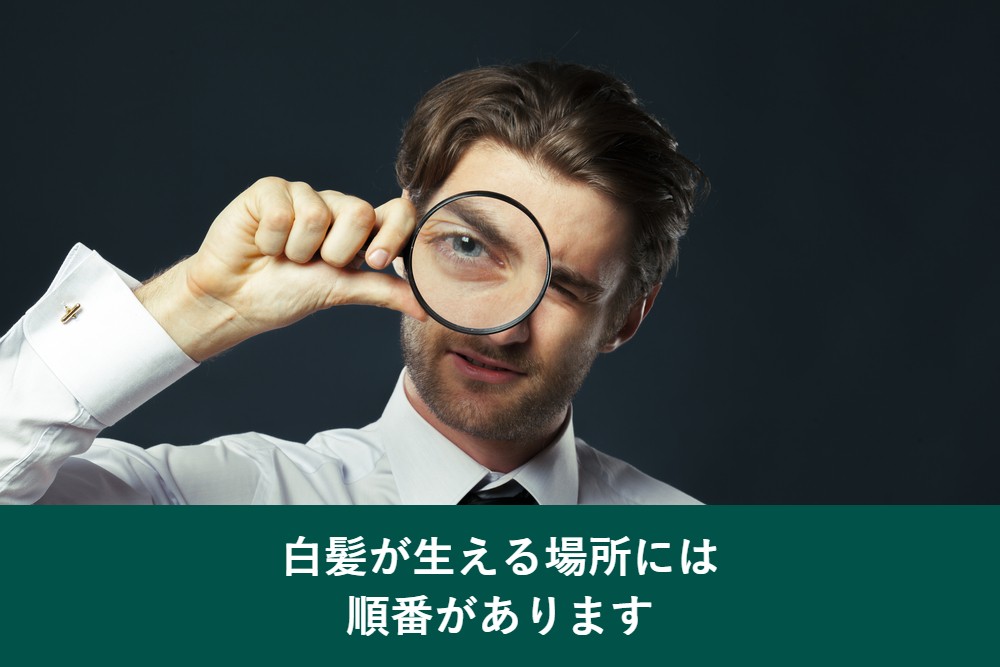 白髪が生える場所には順番がある