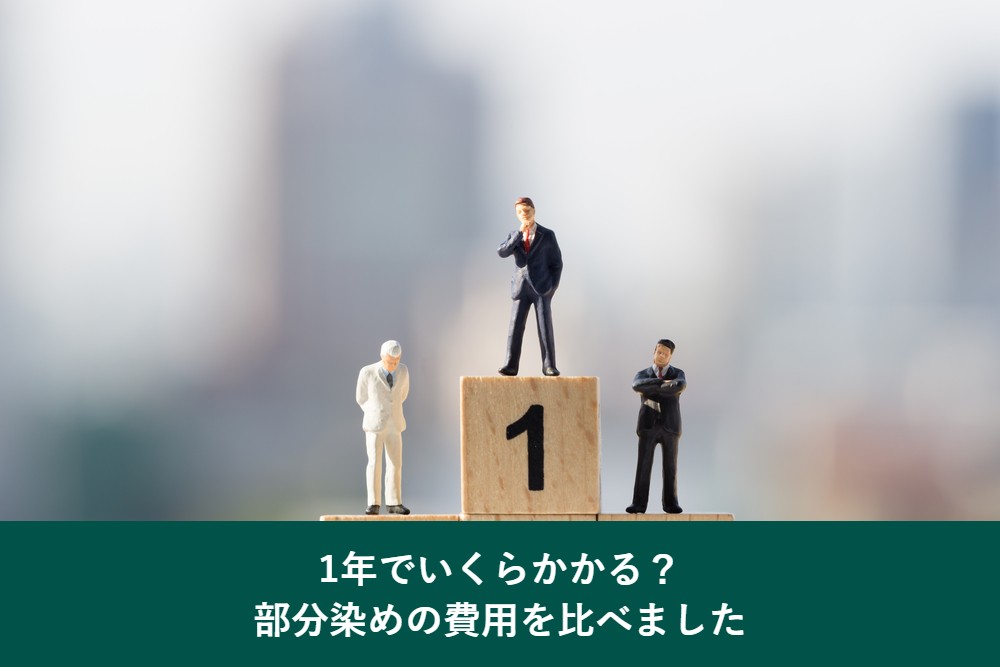 部分染めの費用を1年で比べる