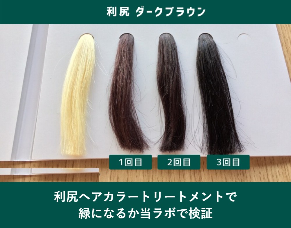 利尻ヘアカラートリートメントで緑になるか当ラボで検証