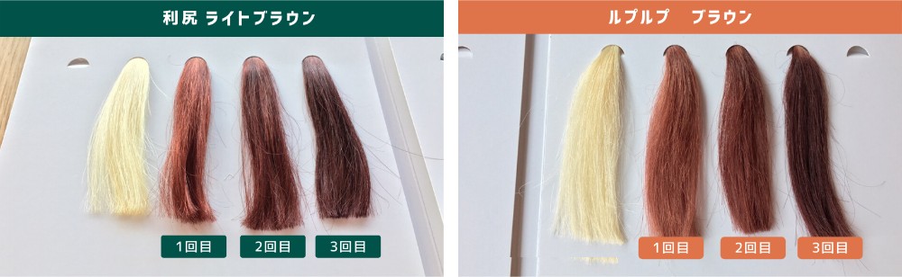 ルプルプと利尻の明るい茶色比較2