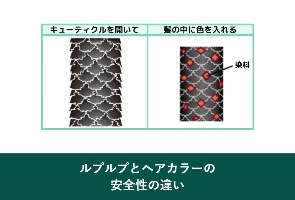 ルプルプとヘアカラーの安全性の違い