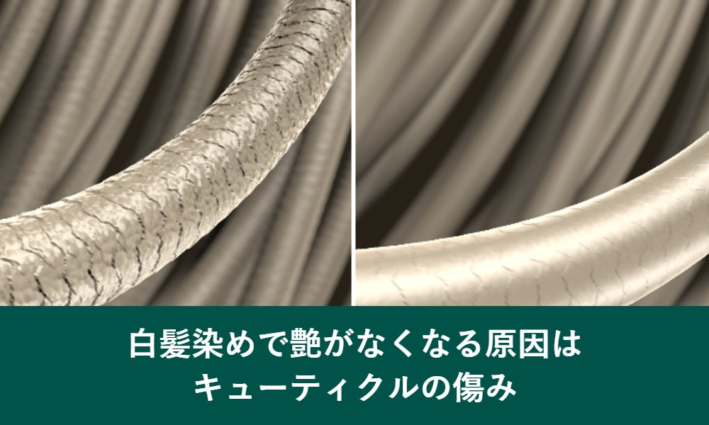 白髪染めで艶がなくなる原因はキューティクルの傷み